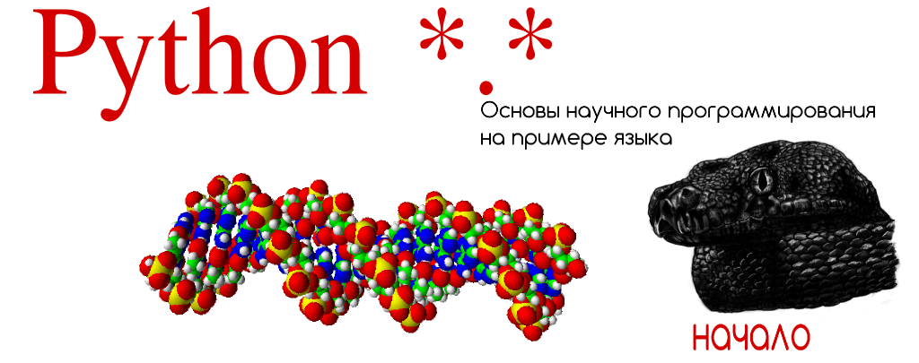 Научная основа языка